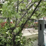 IMG_0014